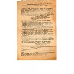 19463.jpg